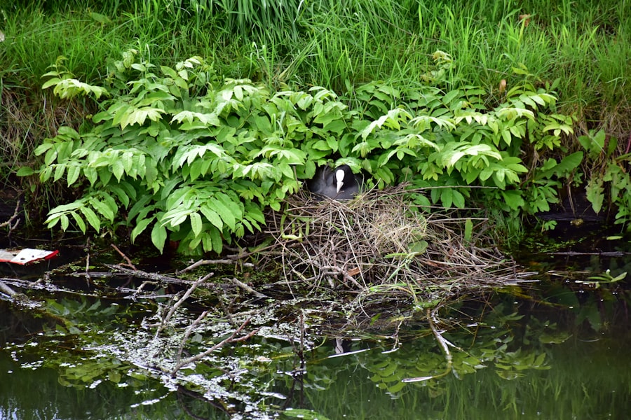 Sprawozdania ochrony środowiska w firmie: wyzwania i strategie 9 environmental protection