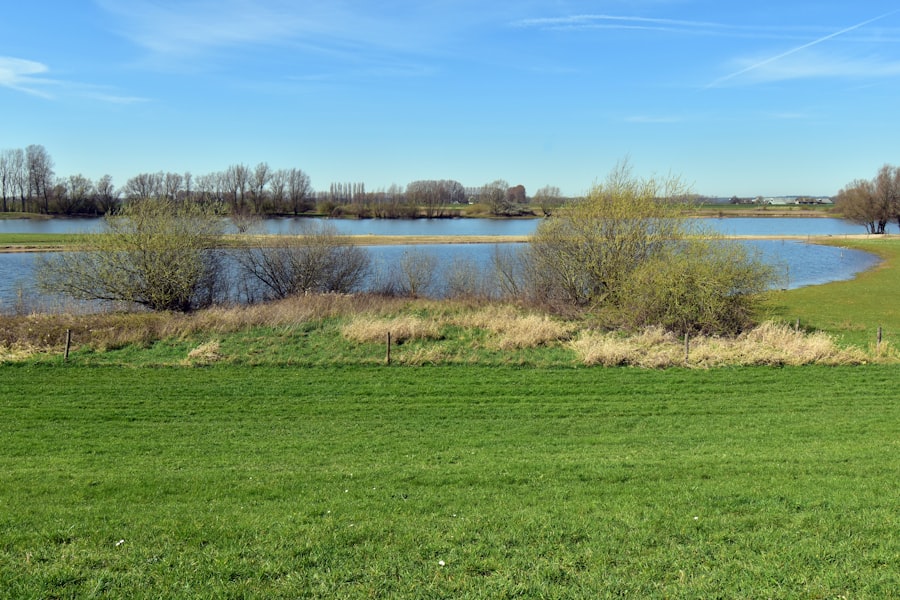 Sprawozdania ochrony środowiska w firmie: wyzwania i strategie 10 Photo environmental protection