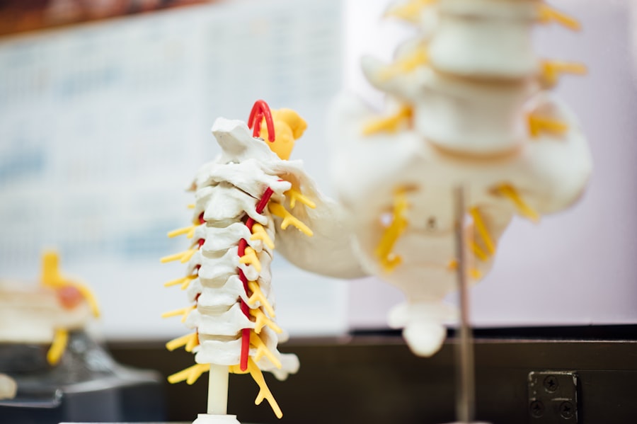 Korzyści z Chiropraktyki: Leczenie Bez Bólu 10 Photo chiropractic