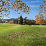 Pochodzenie polskich nazwisk: fascynująca historia