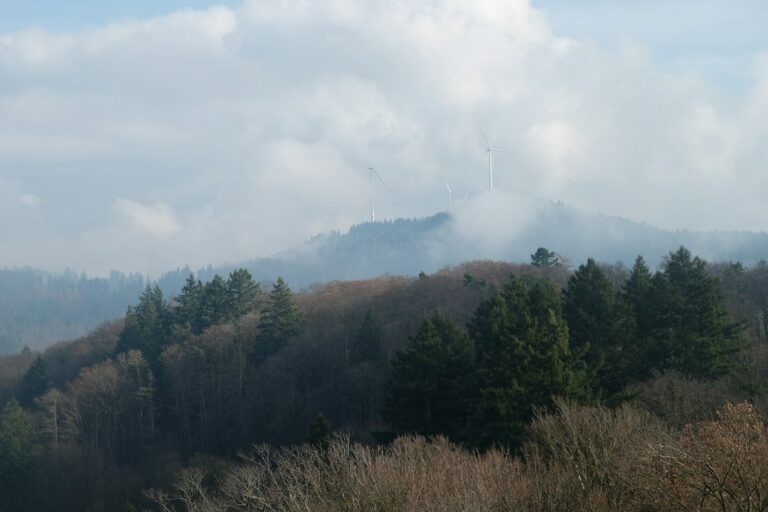 Czyste energie: Przyszłość z Cleantech